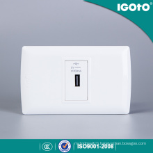 Igoto American Standard USB Plug Charger